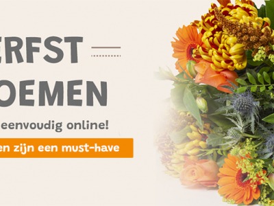 Herfst | Welke Herfstbloemen zijn een Must-have?