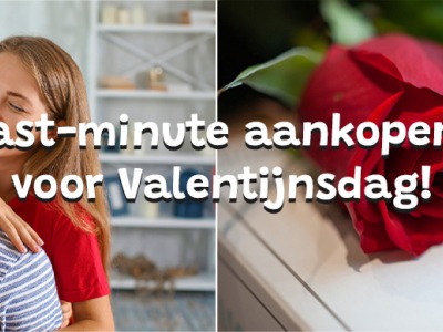 Rozen bezorgen op Valentijnsdag: last-minute oplossingen die indruk maken
