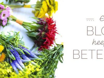 Top 5 bloemen betekenissen en kleuren