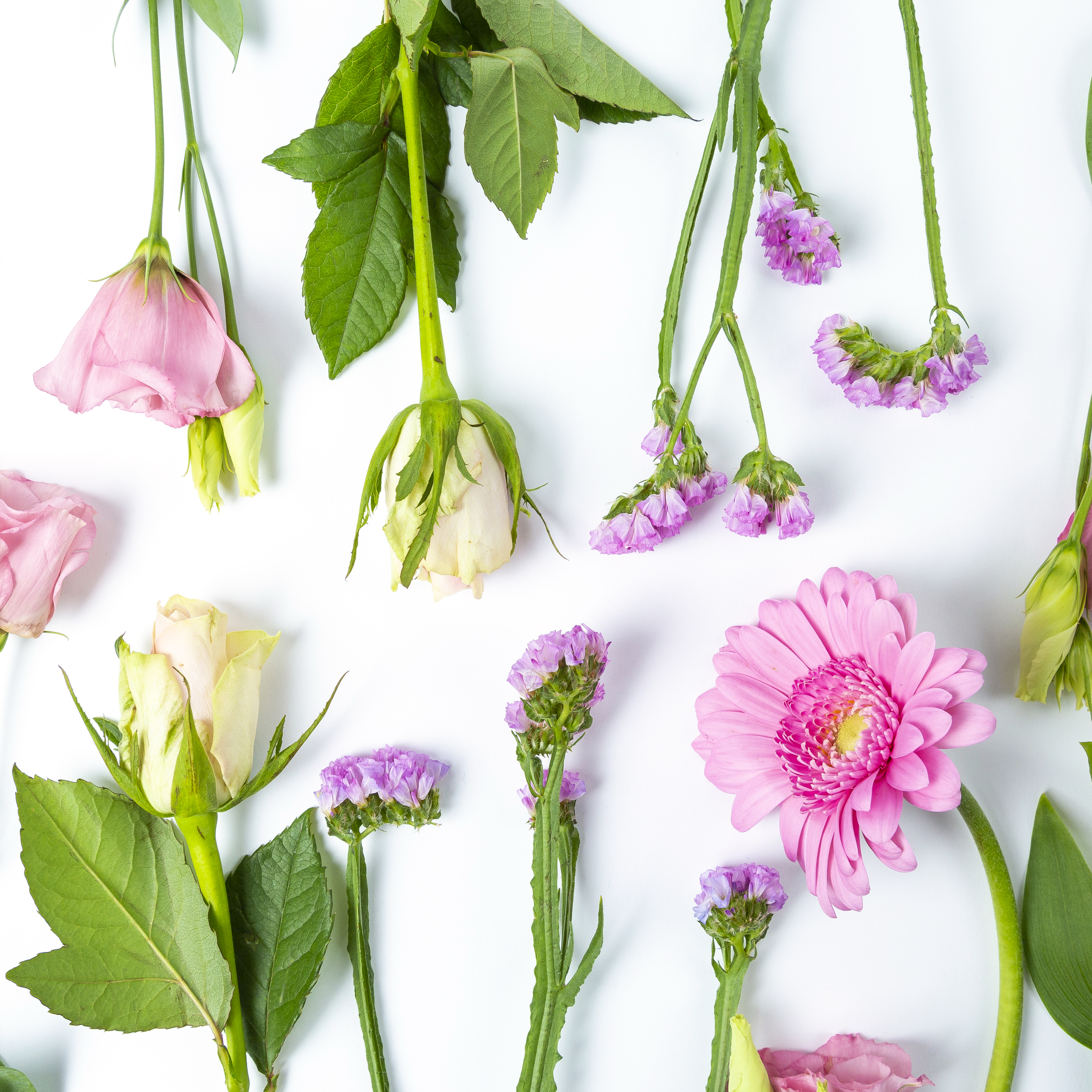 Bloemenabonnement op brievenbusbloemen