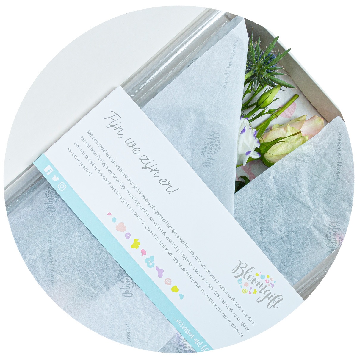 Microfolie en zijdepaier