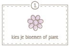 Kies je bloemen of plant