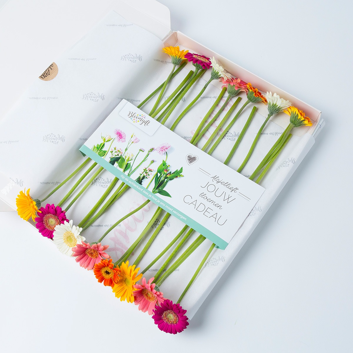 Brievenbus micro gerbera's