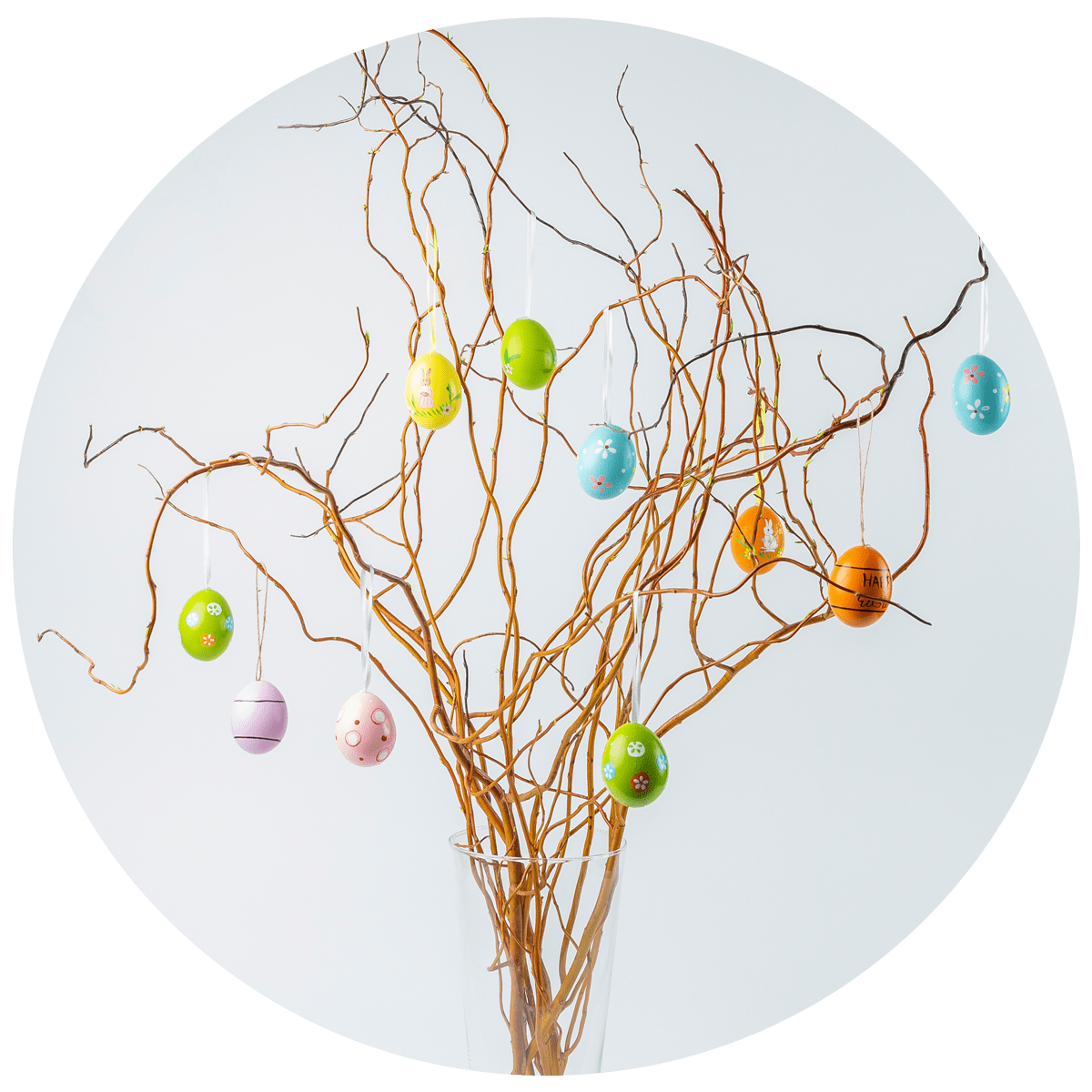 Salix Golden Curls paastakken