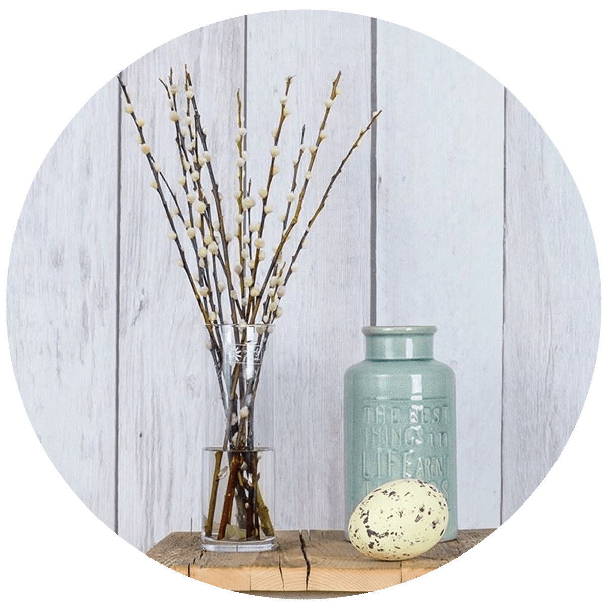 Salix Wilgenkatjes met Pasen