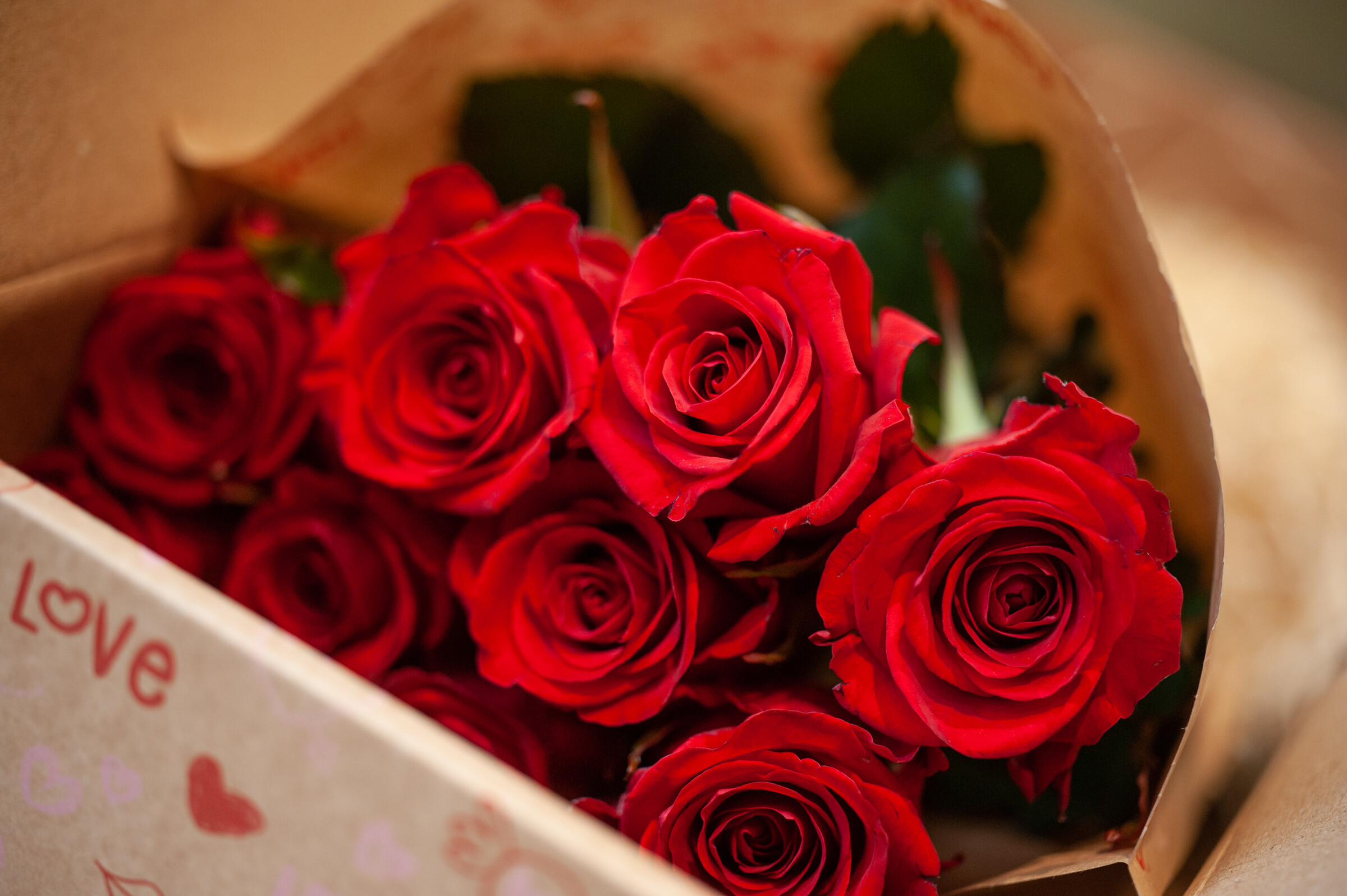 Rode Valentijn rozen in verpakking