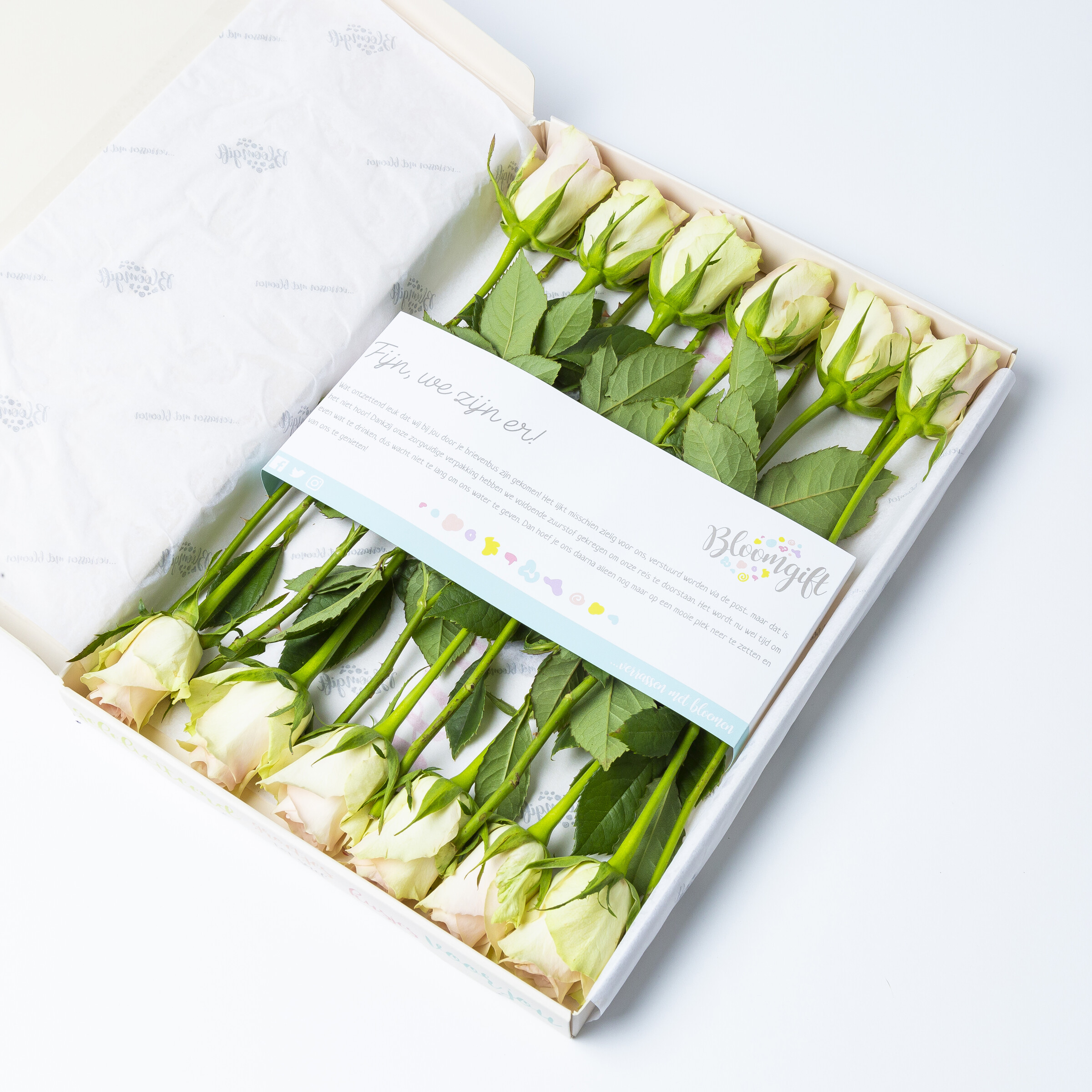 Roze brievenbus rozen